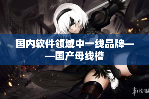 国内软件领域中一线品牌——国产母线槽