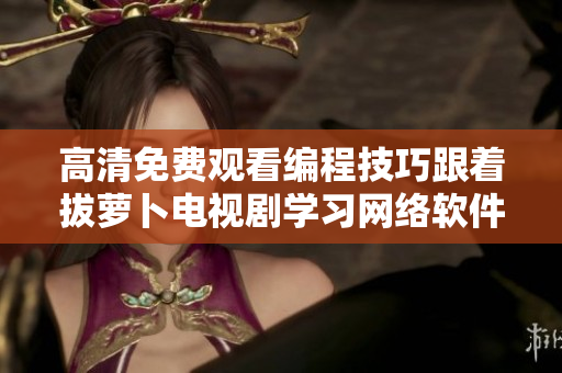 高清免费观看编程技巧跟着拔萝卜电视剧学习网络软件全集