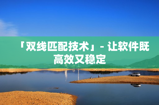 「双线匹配技术」- 让软件既高效又稳定