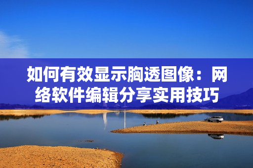 如何有效显示胸透图像：网络软件编辑分享实用技巧