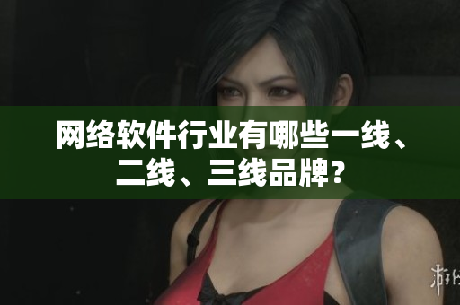 网络软件行业有哪些一线、二线、三线品牌？