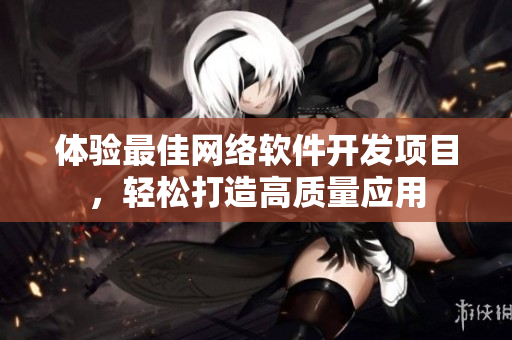 体验最佳网络软件开发项目，轻松打造高质量应用