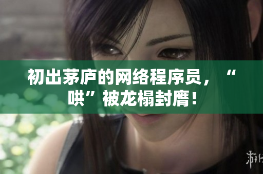初出茅庐的网络程序员，“哄”被龙榻封膺！