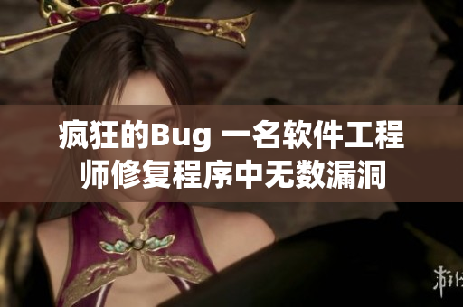 疯狂的Bug 一名软件工程师修复程序中无数漏洞