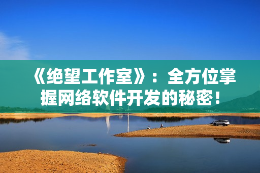 《绝望工作室》：全方位掌握网络软件开发的秘密！