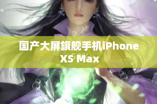 国产大屏旗舰手机iPhone XS Max