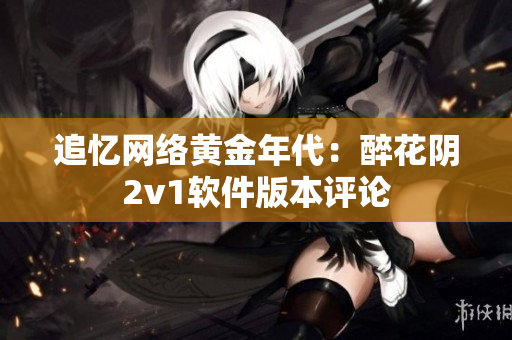 追忆网络黄金年代：醉花阴2v1软件版本评论
