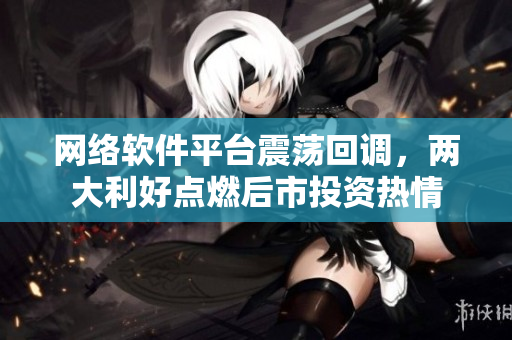 网络软件平台震荡回调，两大利好点燃后市投资热情