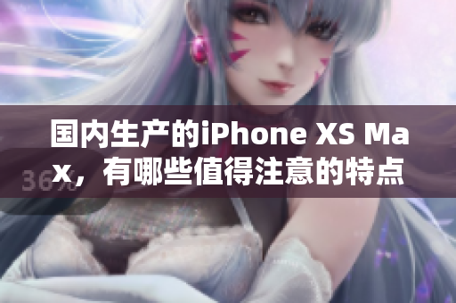 国内生产的iPhone XS Max，有哪些值得注意的特点？