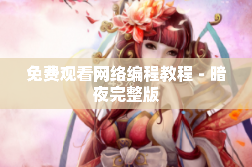 免费观看网络编程教程 - 暗夜完整版