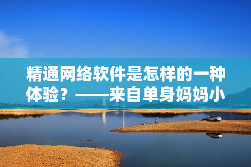 精通网络软件是怎样的一种体验？——来自单身妈妈小说的启发