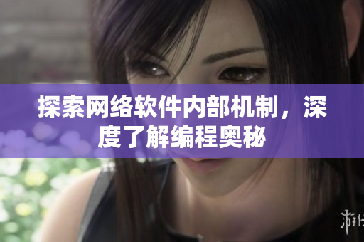 探索网络软件内部机制，深度了解编程奥秘