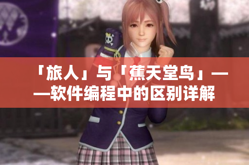 「旅人」与「蕉天堂鸟」——软件编程中的区别详解