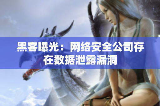 黑客曝光：网络安全公司存在数据泄露漏洞