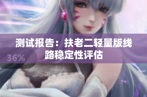 测试报告：扶老二轻量版线路稳定性评估