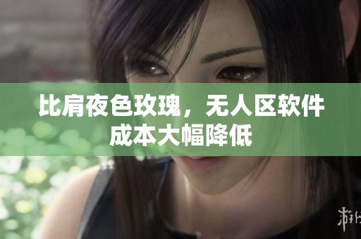 比肩夜色玫瑰，无人区软件成本大幅降低