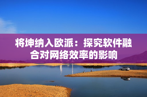 将坤纳入欧派：探究软件融合对网络效率的影响