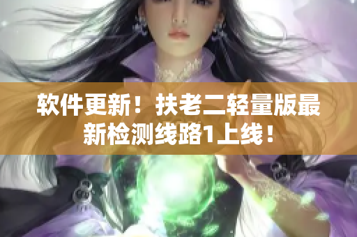 软件更新！扶老二轻量版最新检测线路1上线！