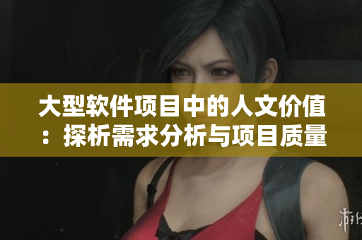 大型软件项目中的人文价值：探析需求分析与项目质量