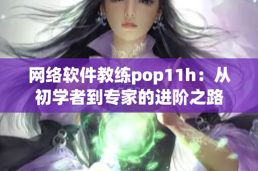 网络软件教练pop11h：从初学者到专家的进阶之路