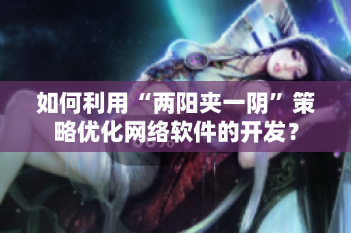 如何利用“两阳夹一阴”策略优化网络软件的开发？