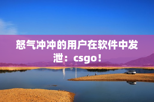 怒气冲冲的用户在软件中发泄：csgo！
