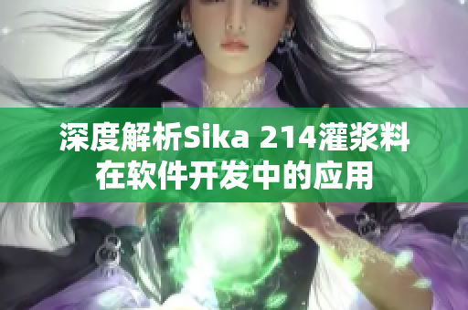 深度解析Sika 214灌浆料在软件开发中的应用