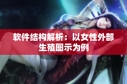 软件结构解析：以女性外部生殖图示为例