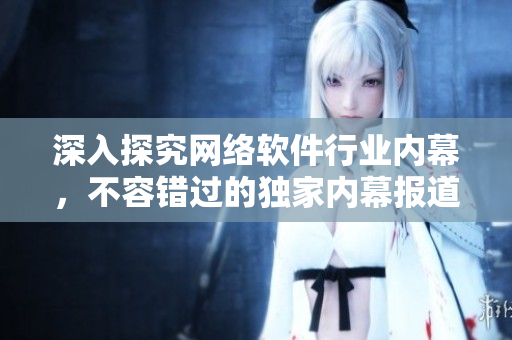 深入探究网络软件行业内幕，不容错过的独家内幕报道