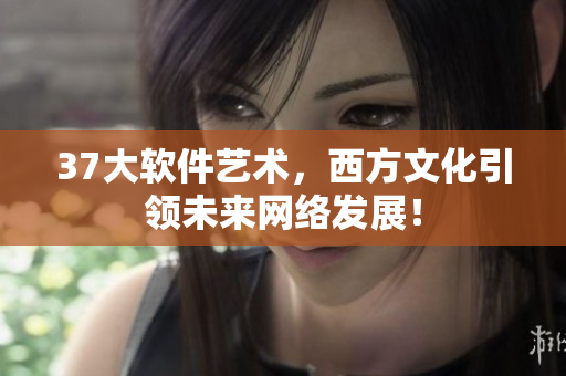 37大软件艺术，西方文化引领未来网络发展！