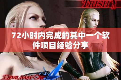 72小时内完成的其中一个软件项目经验分享