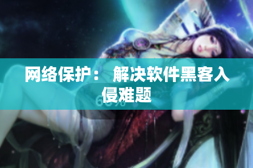 网络保护： 解决软件黑客入侵难题