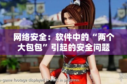 网络安全：软件中的“两个大包包”引起的安全问题
