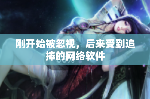 刚开始被忽视，后来受到追捧的网络软件