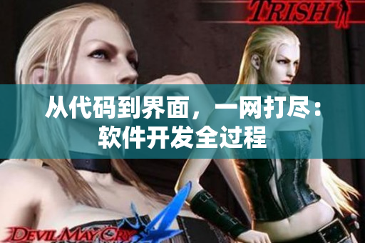 从代码到界面，一网打尽：软件开发全过程