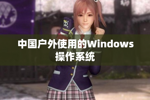 中国户外使用的Windows操作系统