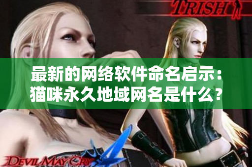 最新的网络软件命名启示：猫咪永久地域网名是什么？
