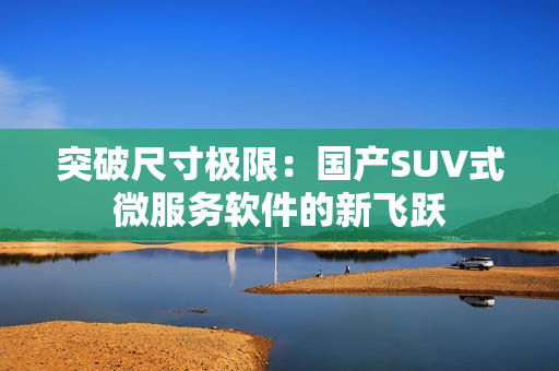突破尺寸极限：国产SUV式微服务软件的新飞跃