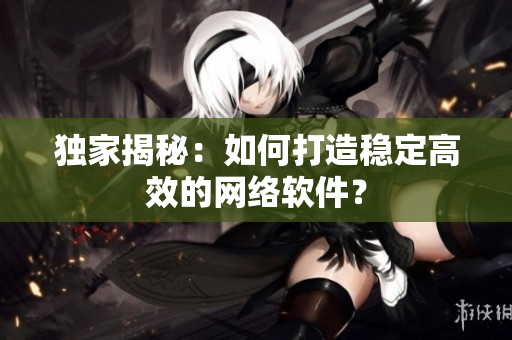 独家揭秘：如何打造稳定高效的网络软件？