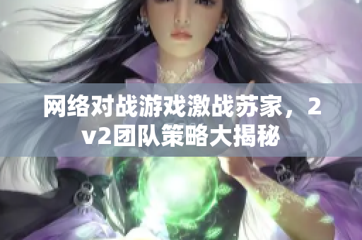 网络对战游戏激战苏家，2v2团队策略大揭秘