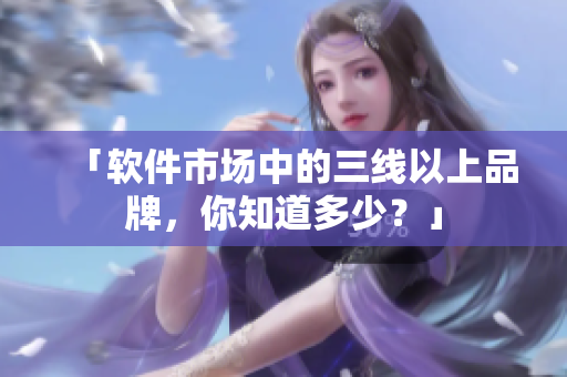 「软件市场中的三线以上品牌，你知道多少？」