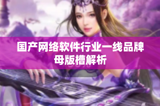 国产网络软件行业一线品牌母版槽解析