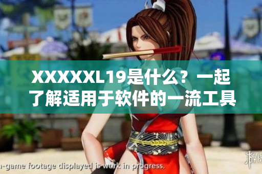 XXXXXL19是什么？一起了解适用于软件的一流工具