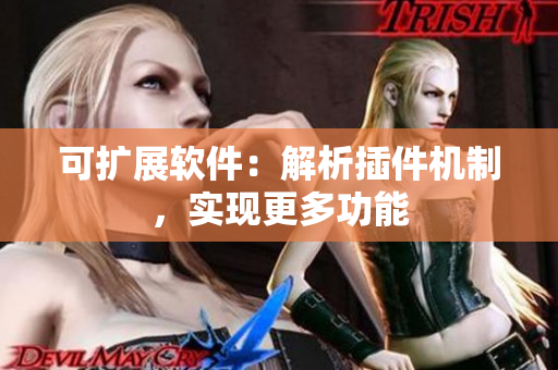 可扩展软件：解析插件机制，实现更多功能