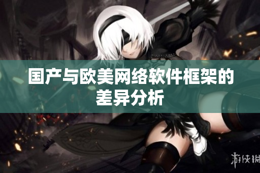 国产与欧美网络软件框架的差异分析