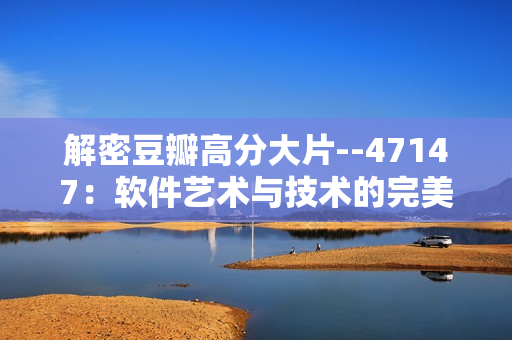 解密豆瓣高分大片--47147：软件艺术与技术的完美结合