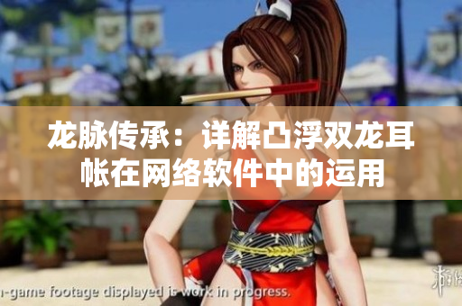 龙脉传承：详解凸浮双龙耳帐在网络软件中的运用