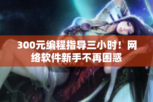 300元编程指导三小时！网络软件新手不再困惑