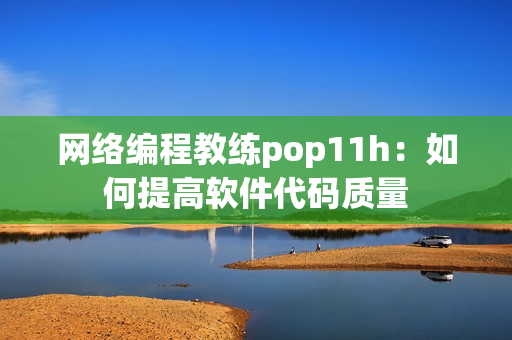 网络编程教练pop11h：如何提高软件代码质量
