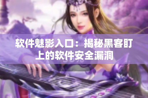 软件魅影入口：揭秘黑客盯上的软件安全漏洞